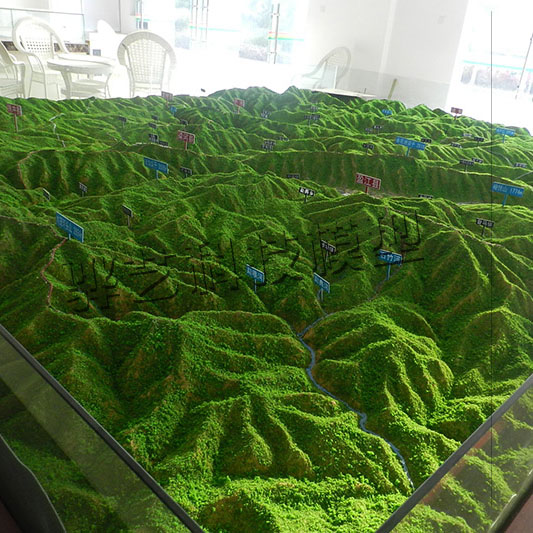 景洪地形模型